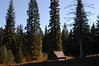 Top of Box Canyon north of Oakridge, Oregon (October 13, 2007)