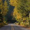 Start of USFS Road 21 below Hills Creek Dam, just south of Oakridge. (Oct 19, 2008)