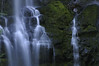 October in Oregon : October 16, 2009 Sherry and I visited Proxy Falls on the Old McKenzie Hwy, then drove to nearby McKenzie Pass for a view of new snow and completed the day with dinner at Coyote Creek Cafe in the town of Sisters.